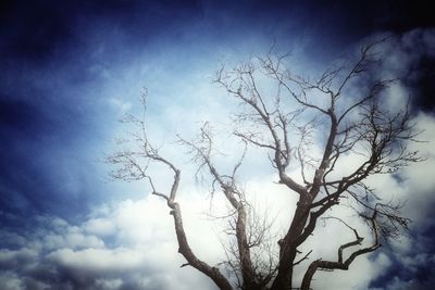 Low angle view of bare tree against cloudy sky