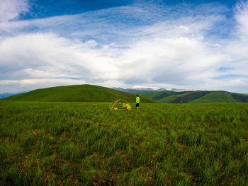 Scenic view of agricultural field against sky