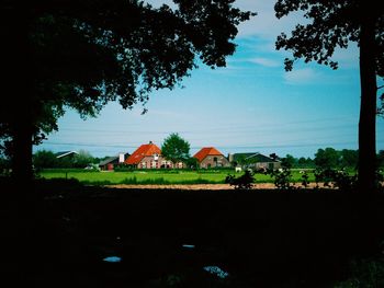 Houses with trees in background