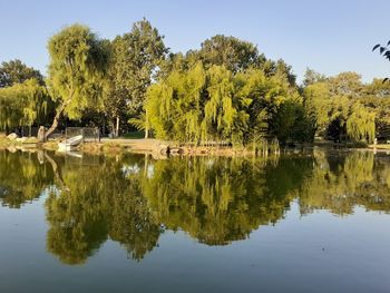 Scenic view of lake by trees against sky