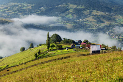 Scenic view of agricultural field