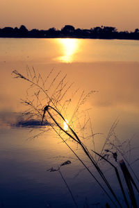 Scenic view of lake against sky during sunset