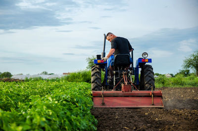 A farmer on a tractor removes the tops after harvesting. development of agricultural economy.