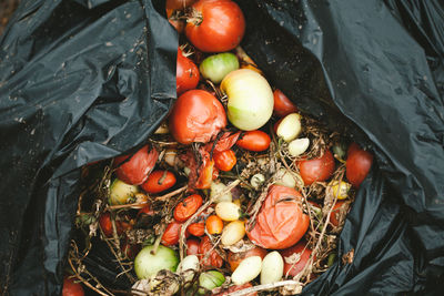 High angle view of fruits in container