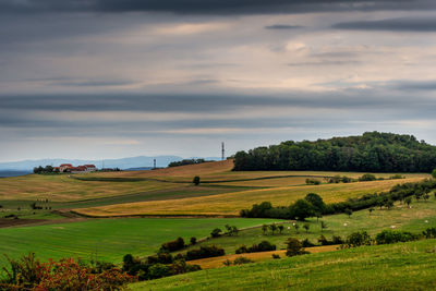 Scenic view of agricultural field against sky