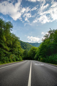 Surface level of road by trees against sky