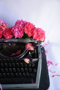 High angle view of pink flowering plants