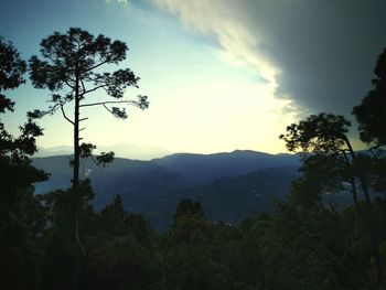 mountain