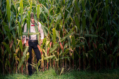 Peekaboo- young man with a red bow tie hiding in a cornfield