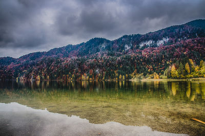 Scenic view of lake by trees against sky