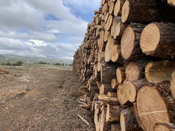 timber