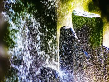 Close-up of water splashing on tree