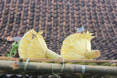 High angle view of yellow leaf on land