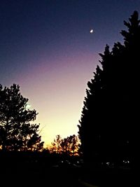 Low angle view of silhouette trees against blue sky