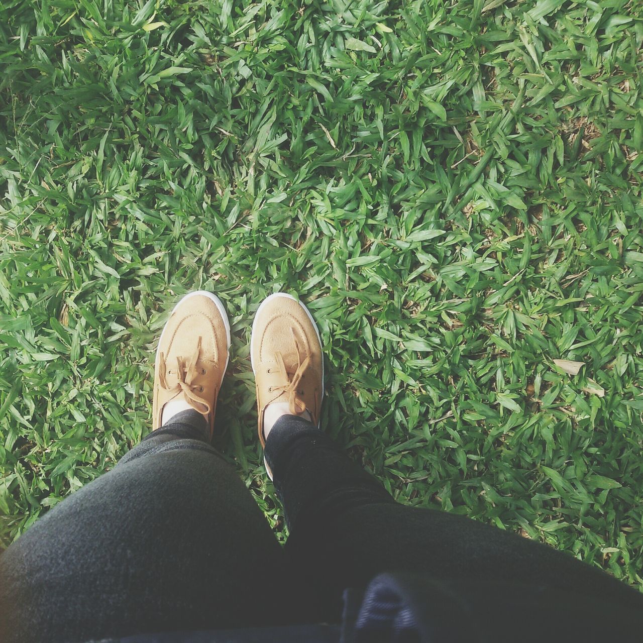 low section, person, shoe, personal perspective, lifestyles, human foot, footwear, men, leisure activity, standing, jeans, high angle view, grass, field, casual clothing, unrecognizable person