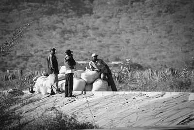 People sitting on land