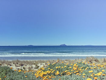 Scenic view of sea against clear blue sky