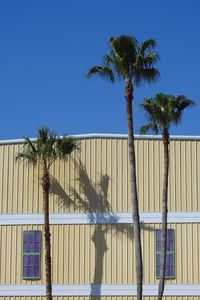 Palm trees against blue sky