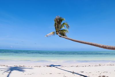 Scenic view of sea against clear blue sky
