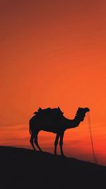 Silhouette man riding horse at sunset