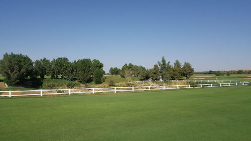 Trees on field against clear sky