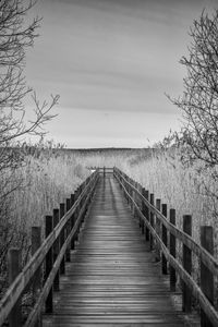 A path to a lake called tåkern. its really good for bird spotting