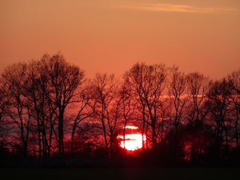 Silhouette trees against sky during sunset