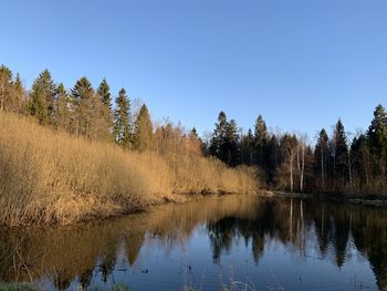 Scenic view of lake against clear blue sky