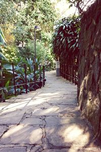 Narrow walkway in park