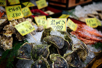 Close-up of fish for sale at market stall