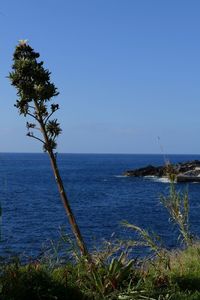 Scenic view of sea against clear sky