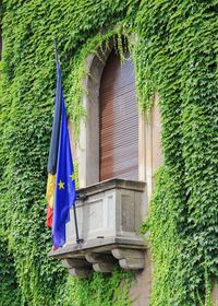 European union and german flag on window amidst ivy covered wall