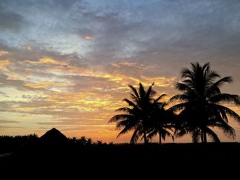 Silhouette palm trees against sky during sunset