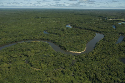 Aerial view of rio negro on pantanal, brazil