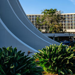 Close-up of plant against building