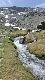 nature