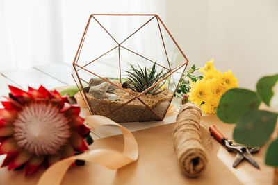 High angle view of potted plant on table