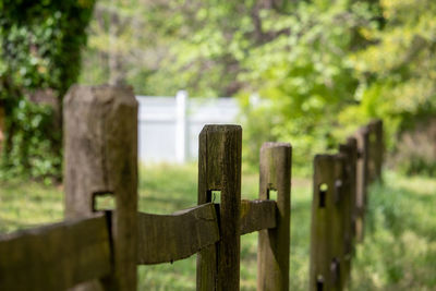 Wooden fence in cemetery