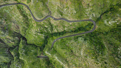 High angle view of winding road amidst trees