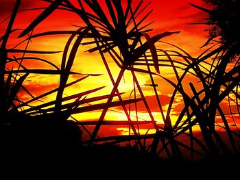 Low angle view of sky at sunset