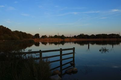 Reflection of trees in calm lake