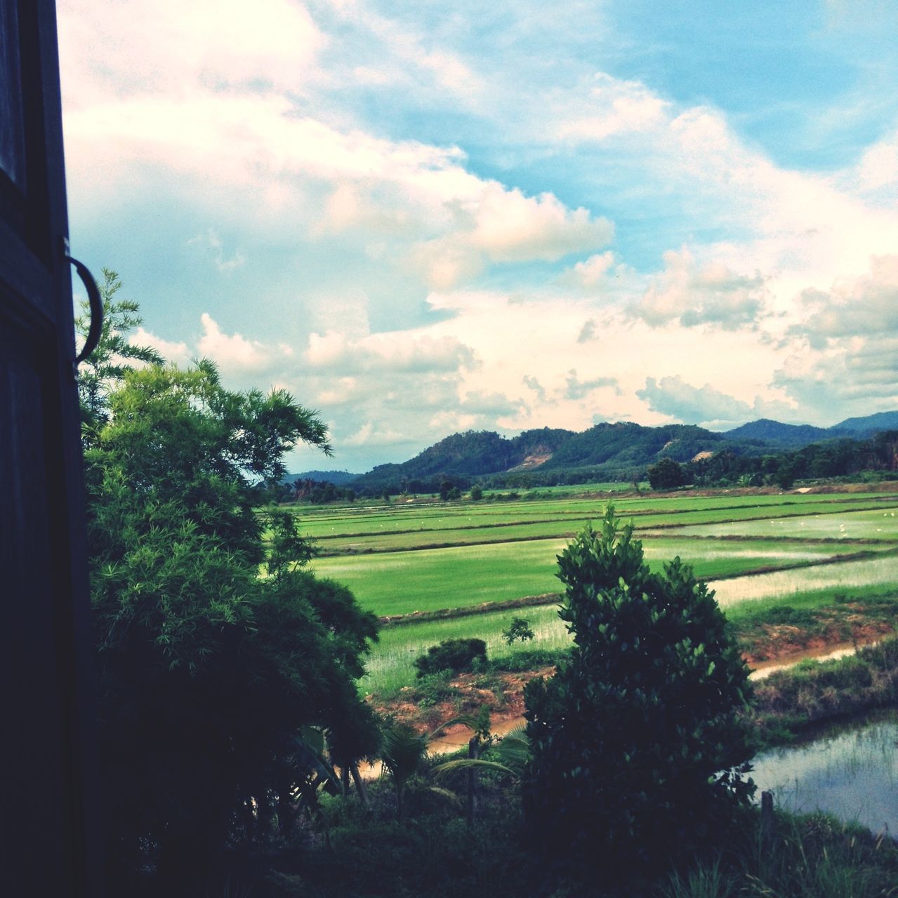 SCENIC VIEW OF LANDSCAPE AGAINST CLOUDY SKY