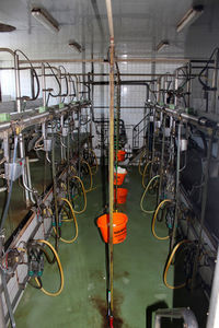 High angle view of milking machines in cowshed