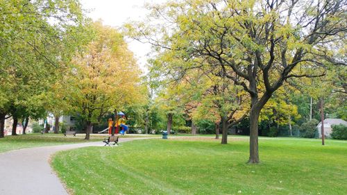 View of a park and playground landscape