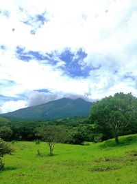 Scenic view of landscape against sky