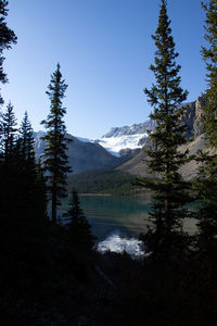 wilderness