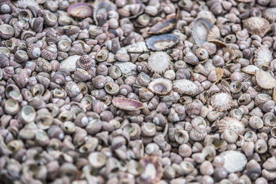 Full frame shot of pebbles