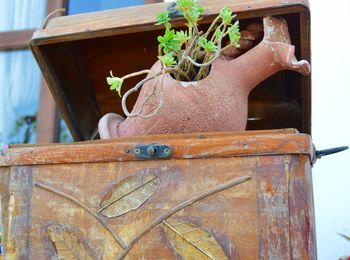 Low angle view of potted plant in wooden box