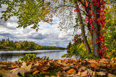 Scenic view of lake against sky during autumn