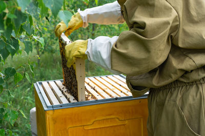 Midsection of man working at farm